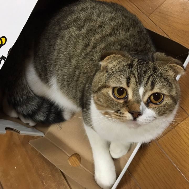 9db217f9 2007 4c84 af4e a14bb92afabb