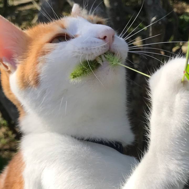 9db23477 f10f 4fb9 a6a6 e7858a253928