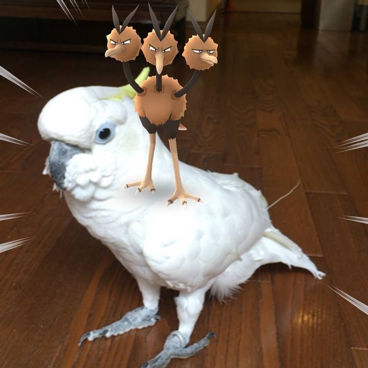 9db2f58f b066 4e32 8275 e1c412af71bf