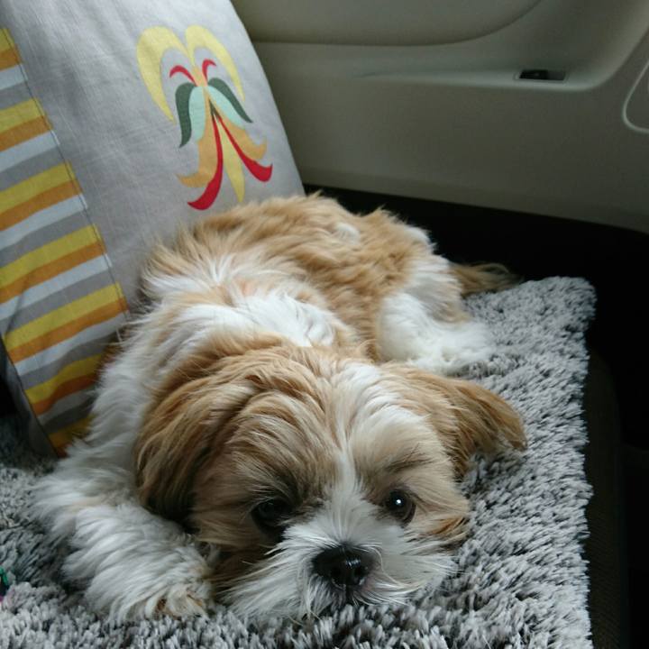 9db2f9fa beca 4446 af7e dcef97869a67