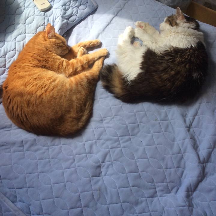 9db32632 6239 47ca a7ca 85f5778afc32