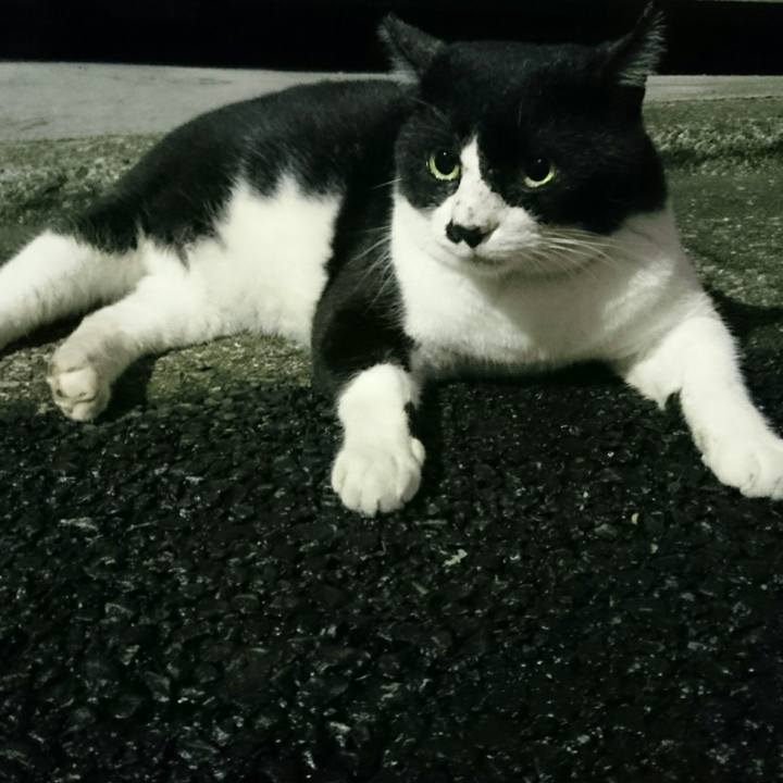 9db3326f e861 4888 8212 0580c6127e61