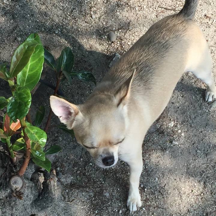 9db34259 cc47 46cb 81d8 e2e4c120a288