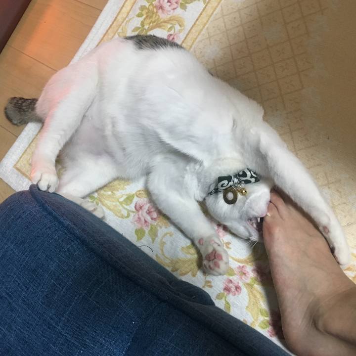 9db3d007 3db4 4b1e 9089 60b1cea6c56a