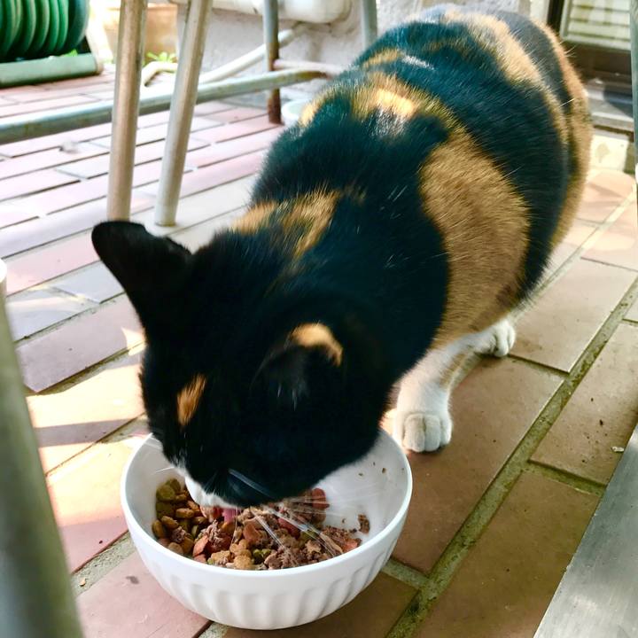 9db480d9 8508 40a9 b89b 16a42e77ddbc