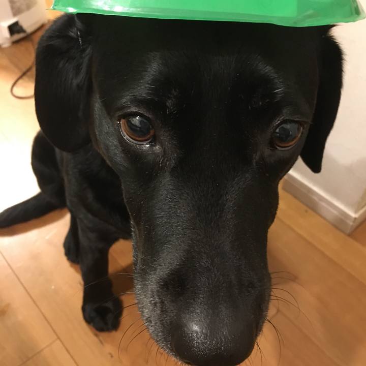 9db48c85 1de5 4109 8542 ace023a3c59b