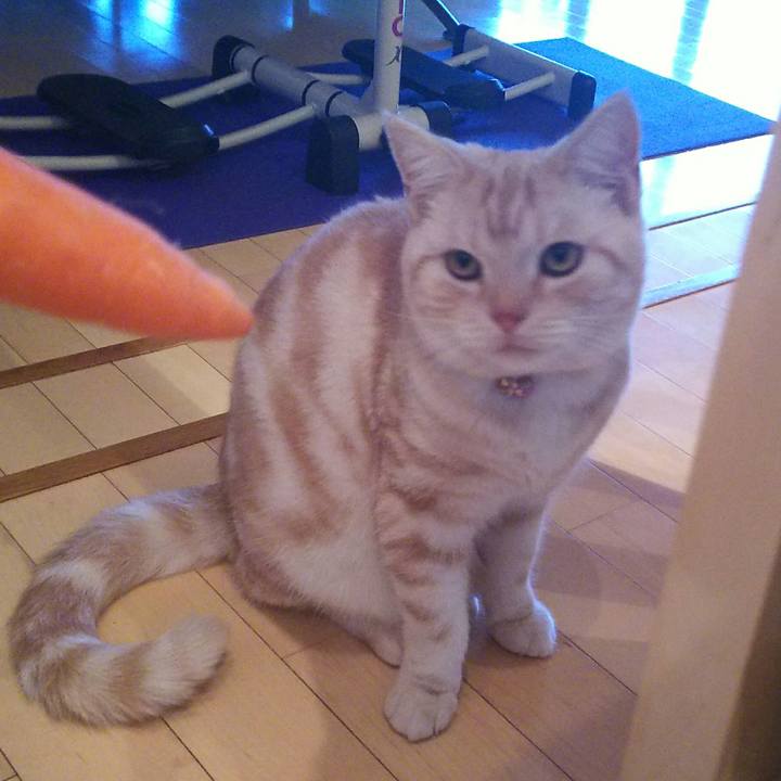 9db4a8d8 42df 442c 8935 0a3d0b4d8e8d