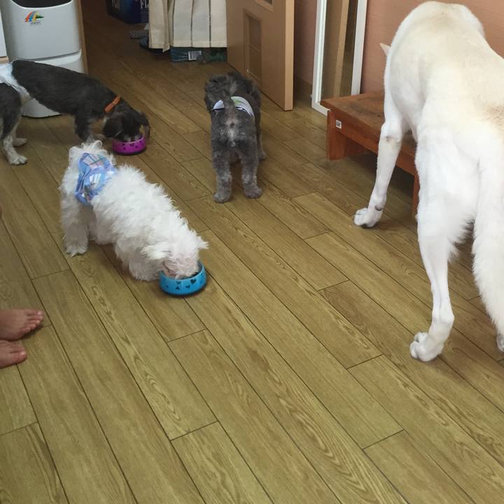 9db4c8c9 9a3e 48bf b4e9 157de02d1b10