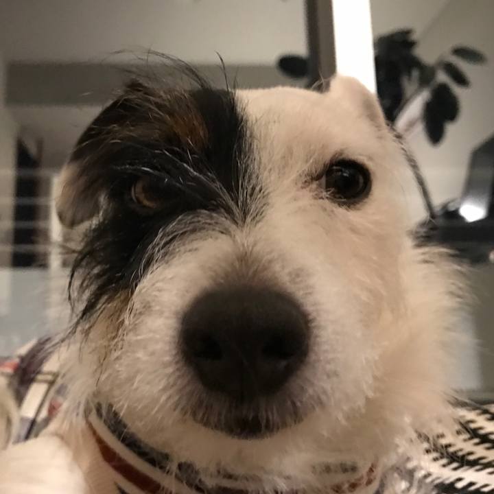 9db5ce60 ecb9 4c6c a4a1 fccb7030ebf0