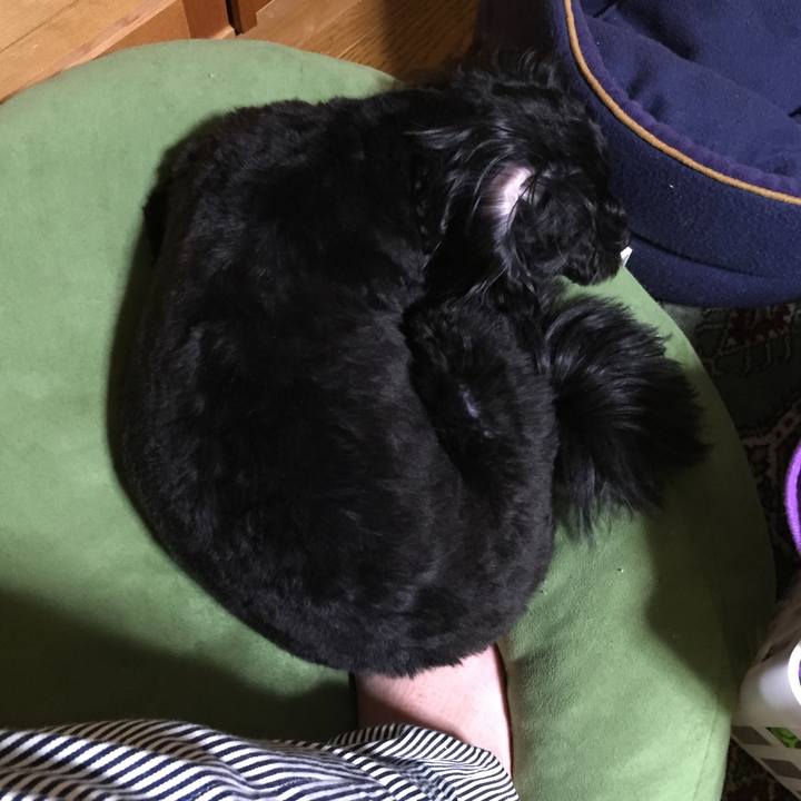 9db6b3dd 287a 4178 8710 508b80a5720d