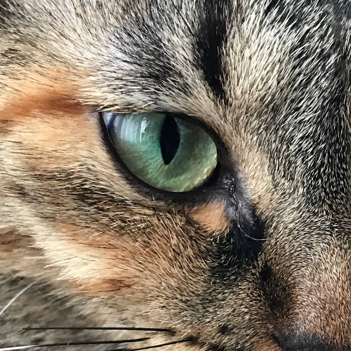 9db754b7 8896 43d8 97ff ce86aefc2f91