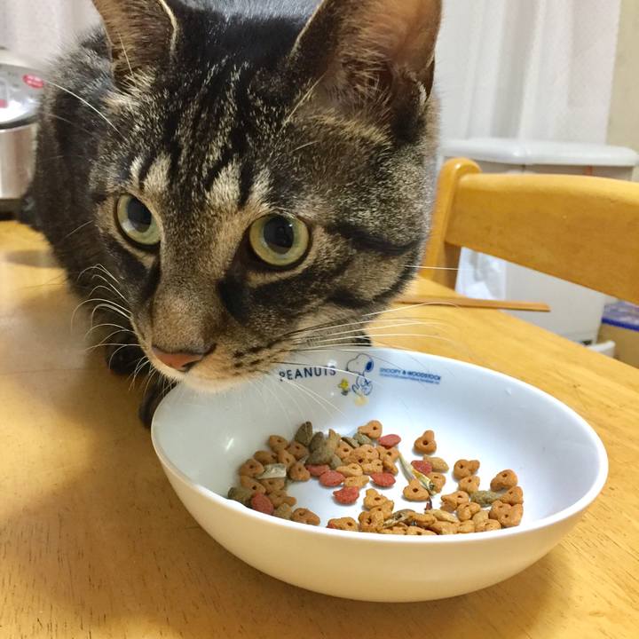 9db804e2 b17d 488e a6c1 4e8d6b382433