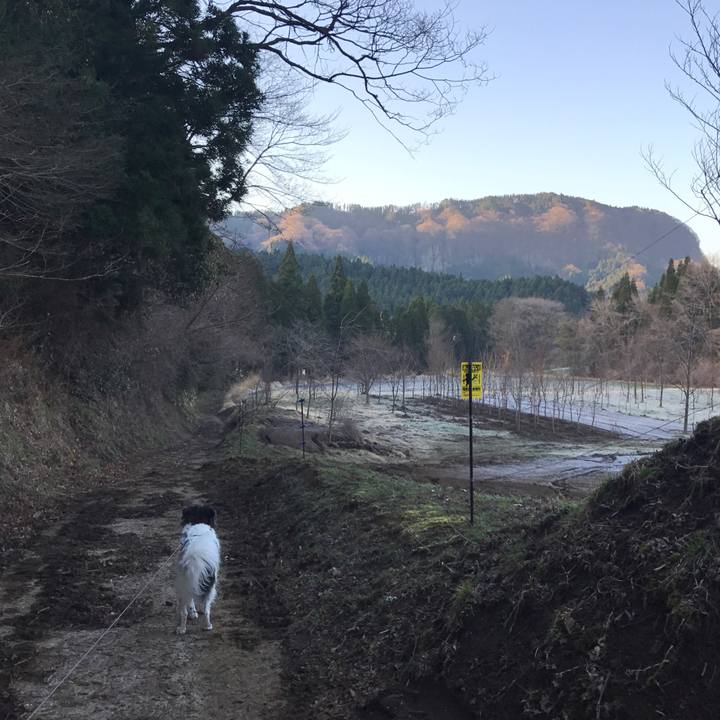 9db85934 f38d 4907 ac47 f86539e91d79