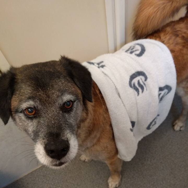 9db8a90a 8937 41c2 9bd5 855025c47839