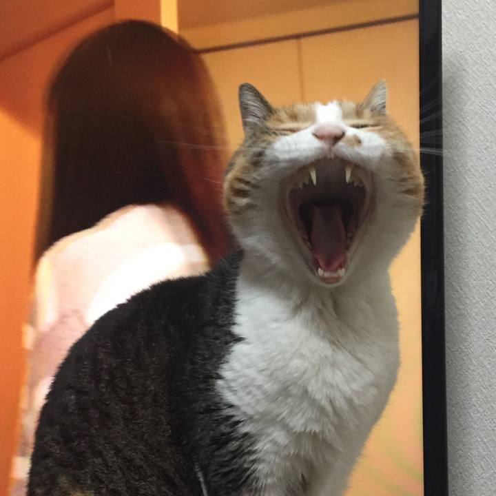 9db8f104 cf64 4544 a517 4c551c9558fc