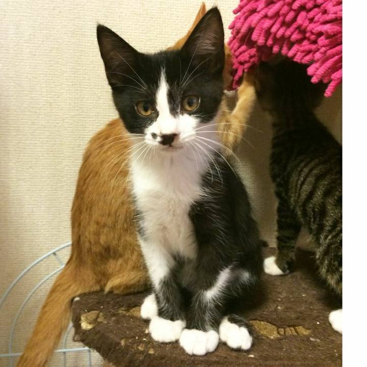 9db9026f ff17 418b 81c2 c1b4acae053d