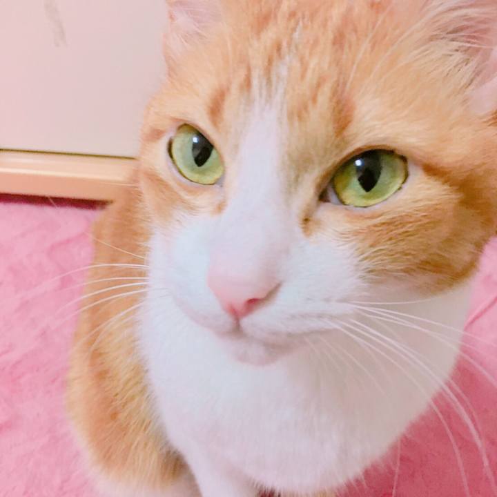 9db9b8e3 f743 4daf 9381 b4ec3c4b9107