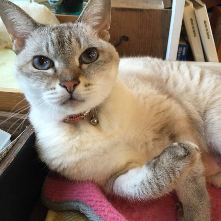 9dba1168 3284 44b3 a271 7817e99f92de