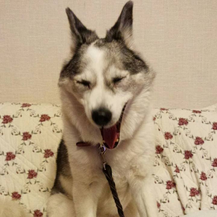 9dba5dbc f283 493f b0b5 4479f98382ae