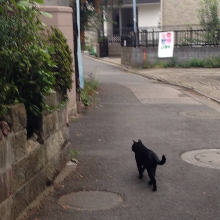 9dba6696 66f3 45b0 8dcc 53fb9fb718b6