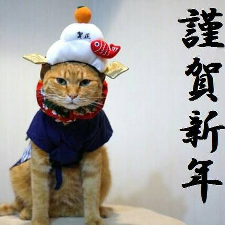 9dbb54f9 fc2c 45b4 84d9 09724cd1d3c5