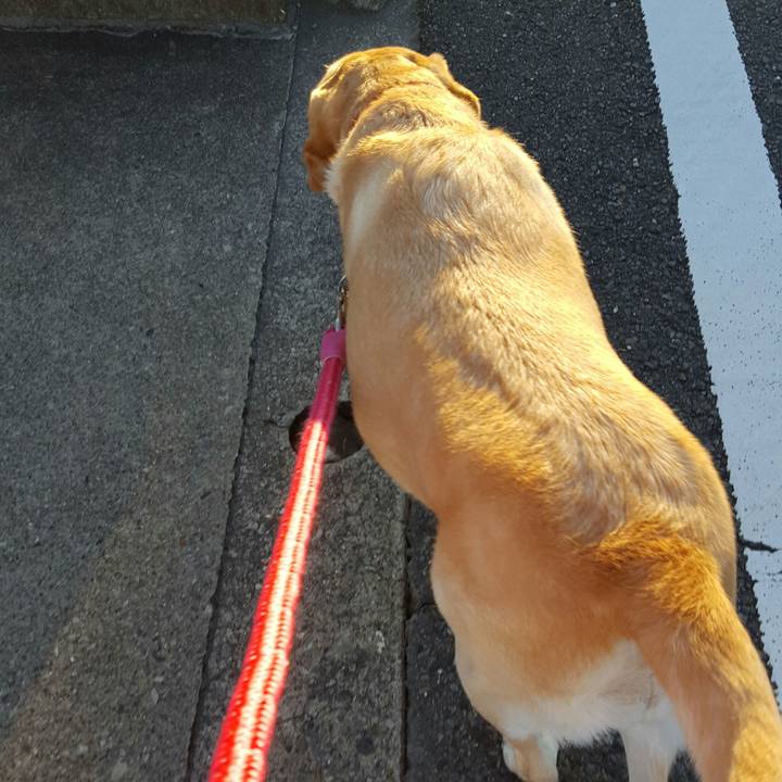 9dbb7428 9a33 446d ba6e 7a80ade5701f