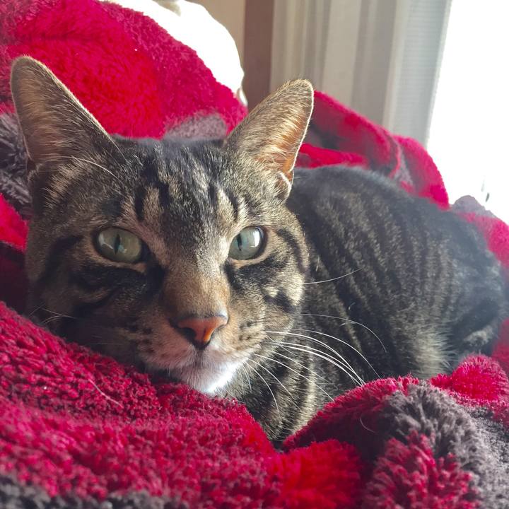 9dbb7cf3 af4e 4a79 b365 e8a0298d7ccd