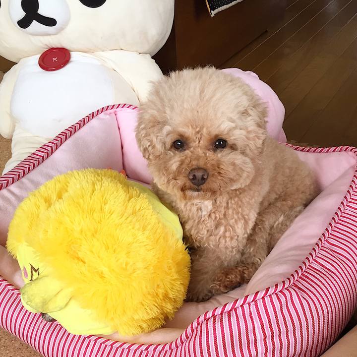 9dbbd73f d5f9 4a2a 9a67 0589e37611fe