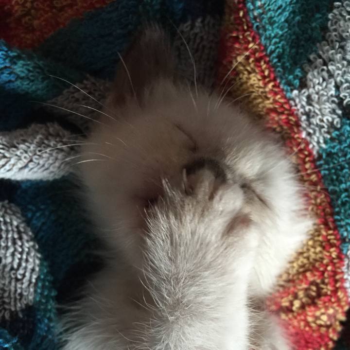 9dbc17d0 82de 4195 9bad 9ab09db7ba7d