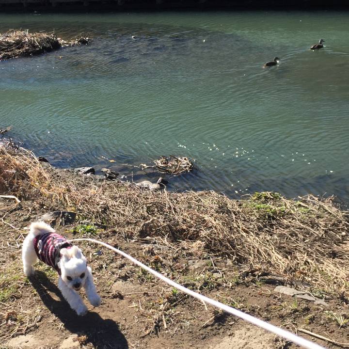 9dbc427c 4ee2 4696 bfc9 ad723fb47773