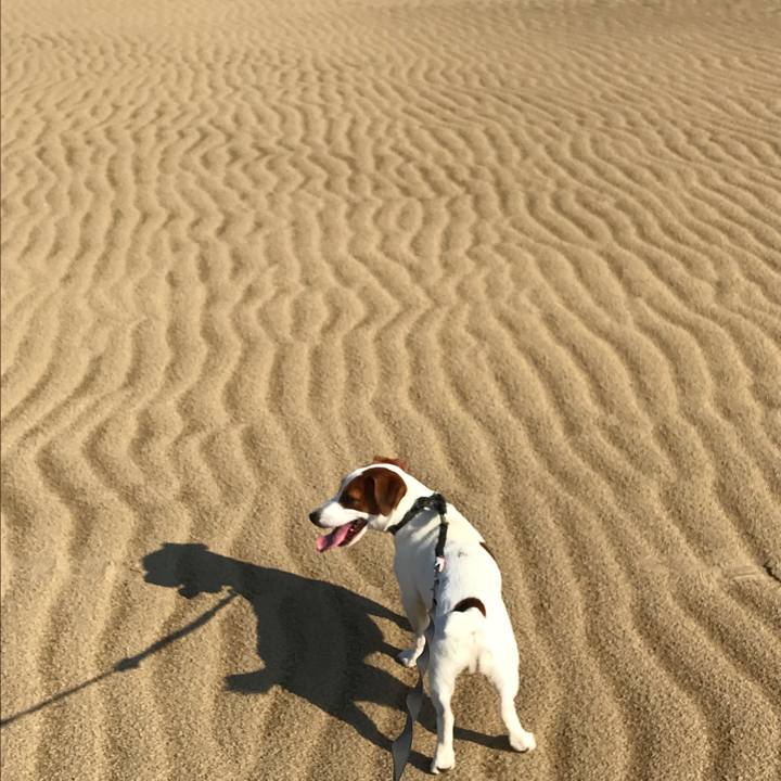 9dbc7421 dfc3 404e 9ea2 84ea8c7b7bf6