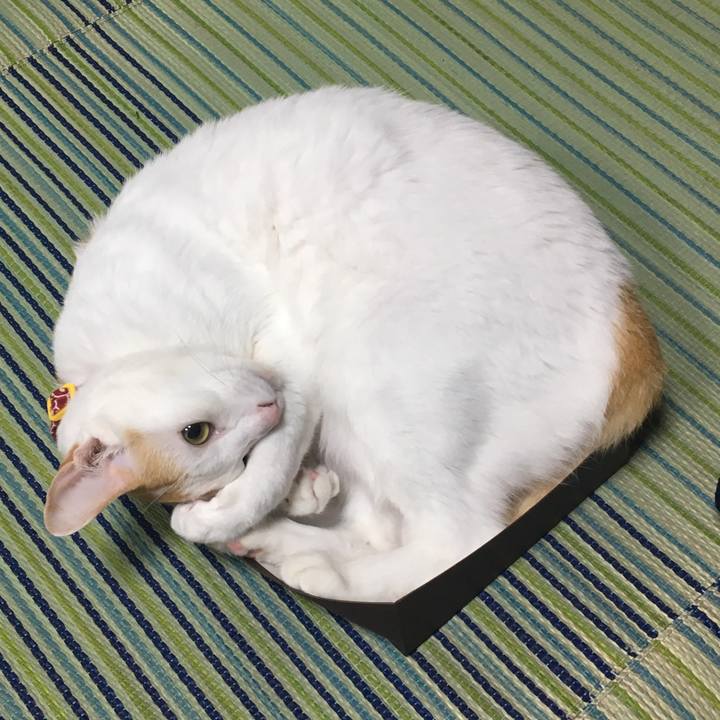 9dbcc436 8094 46a7 9623 e728db1d92f4