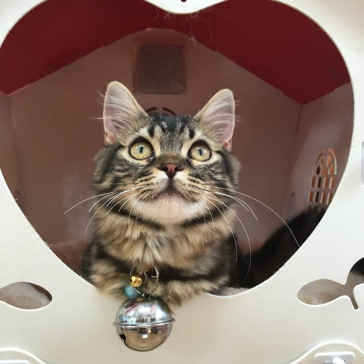 9dbd1f9a 02a1 47a8 b825 c8fcee98d143