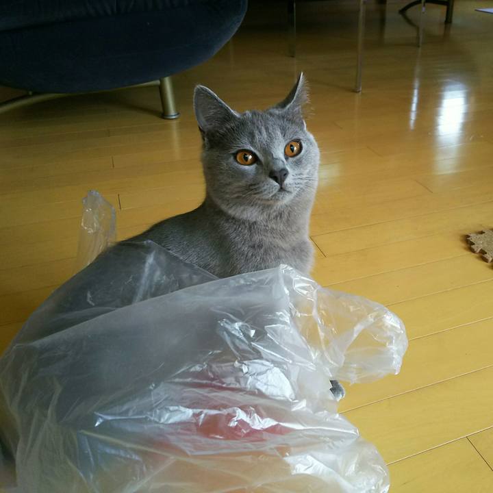 9dbd5fc8 3165 4913 a508 474a8c3a9247