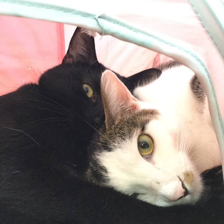 9dbd9e9f fd0c 48ff 88d2 b46a2f449ab2