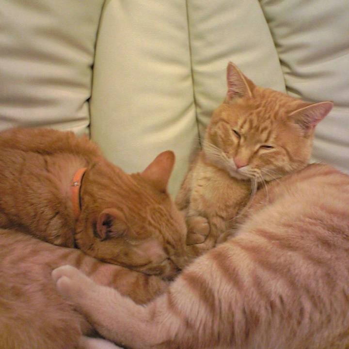 9dbde422 e6af 45c2 9a37 31c66f01de41