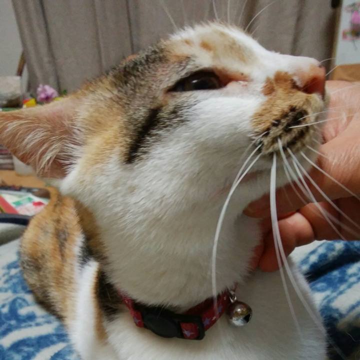 9dbdef14 c006 402b ae9f 7e6cdb15686a