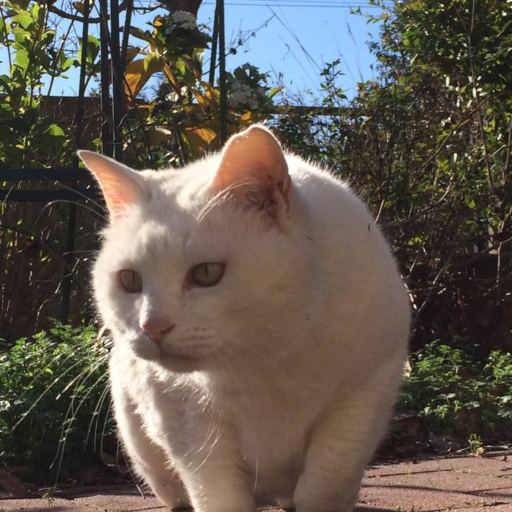 9dbe11fe e26a 404d 8266 dacef22f666e