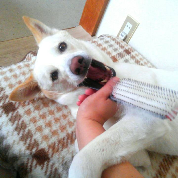 9dbf0433 e658 4399 879e 180b7941d303