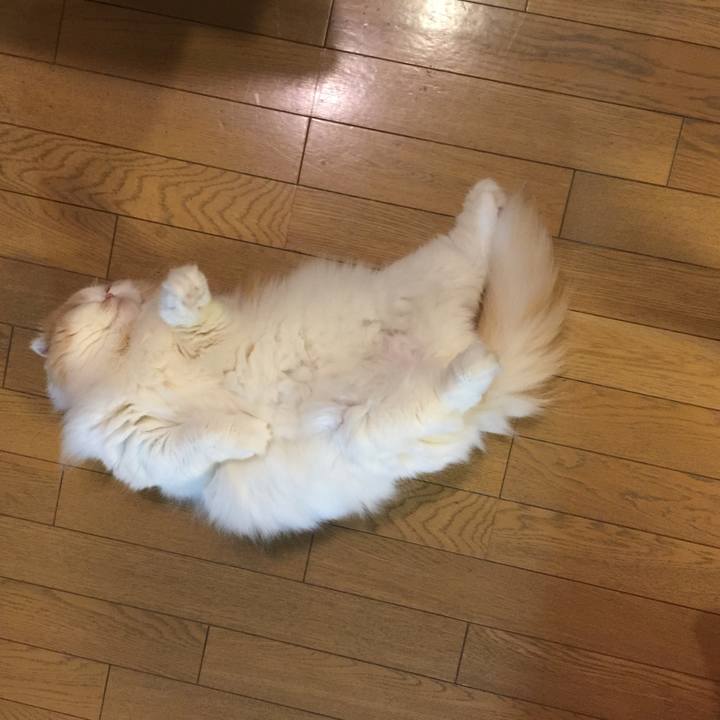 9dbf2fd8 8216 4229 b312 3d2119c49494