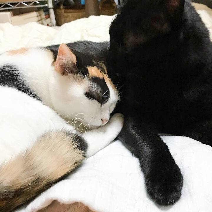 9dbf8e0d c86d 4a67 a56e 96d8e912c8aa