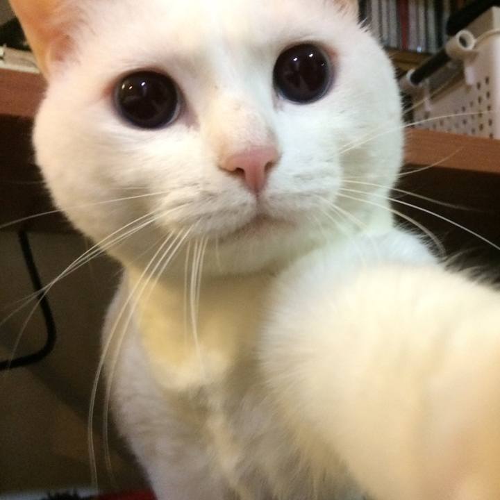 9dc0372e b25a 489f 89a1 11f724717b9f