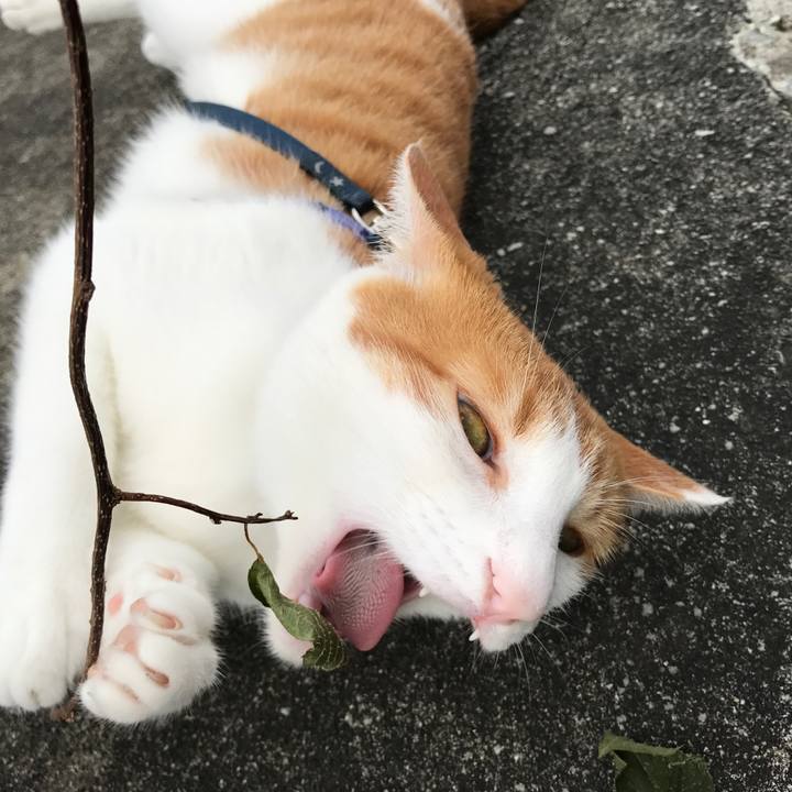 9dc04bee 5ab9 42ed a8d3 e834f0bf8a1a