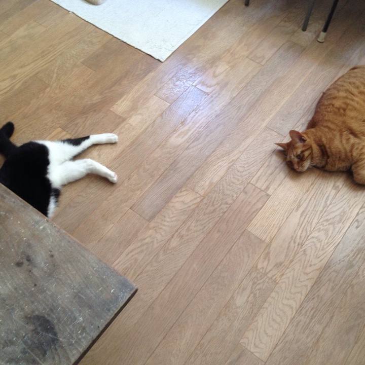 9dc05151 0eac 4ebd 87d3 867ef3d3250c