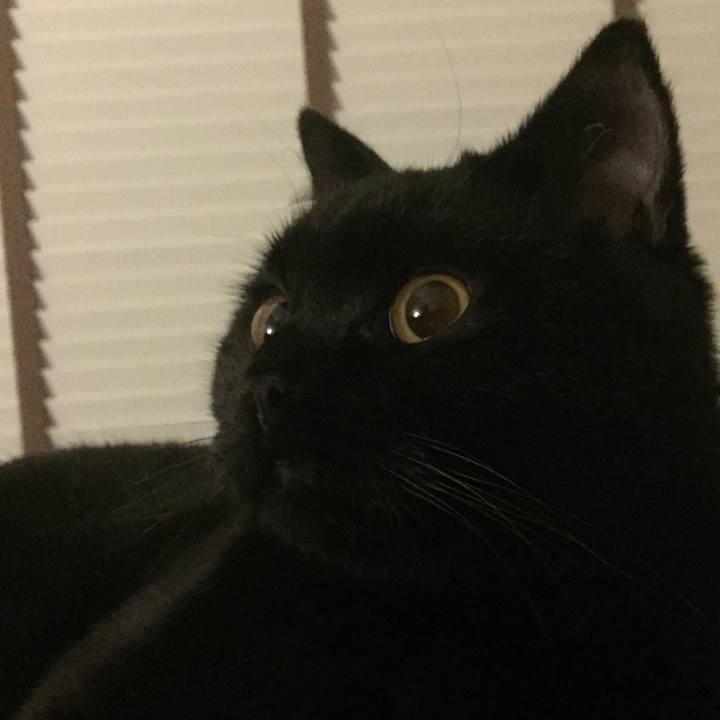 9dc06c3b 5794 4d52 b188 0f4754b49338