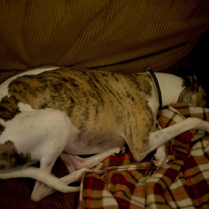 9dc09595 d83b 42ae 8c05 41820488ad5d