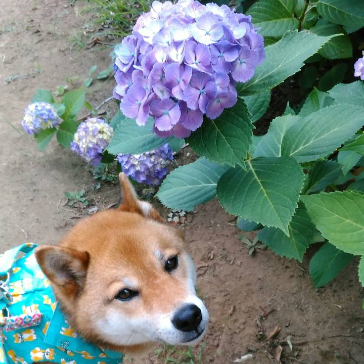 9dc0eb82 e4a9 41ad 9b48 2a8868441f28