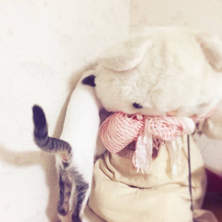 9dc11974 6e22 4954 a4bc 8efcf3d919d7