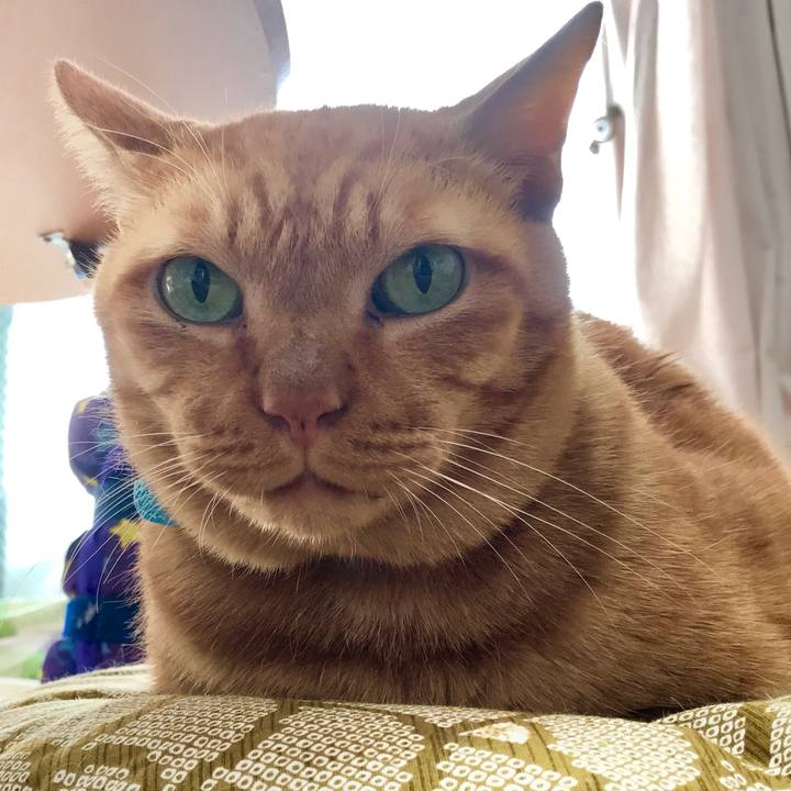 9dc2371c ea1d 4845 8539 f6ced7ddd86e