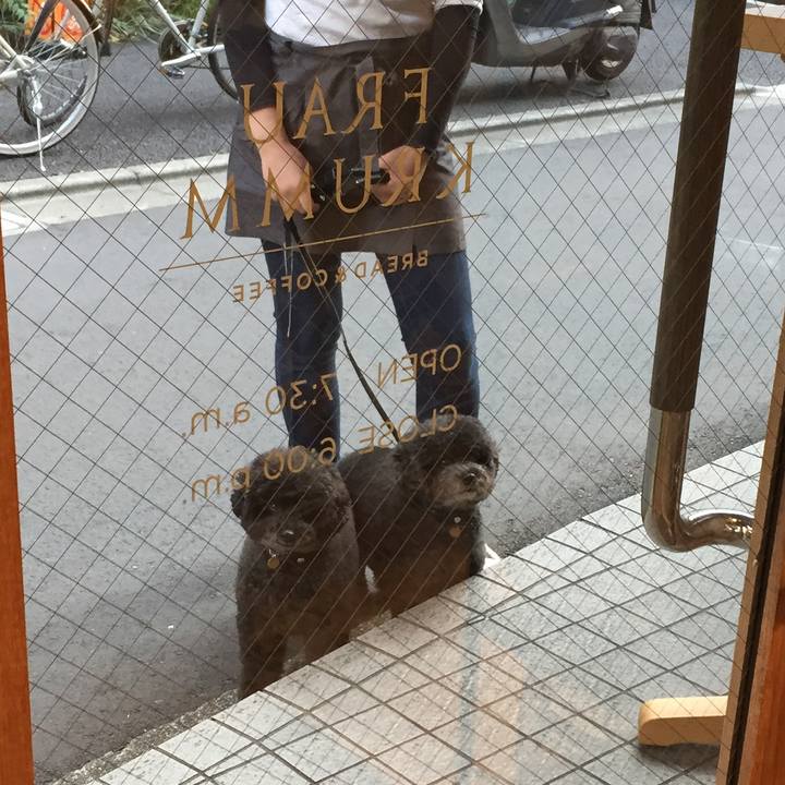 9dc370ef a905 4c29 ac83 0d8e597c4a70